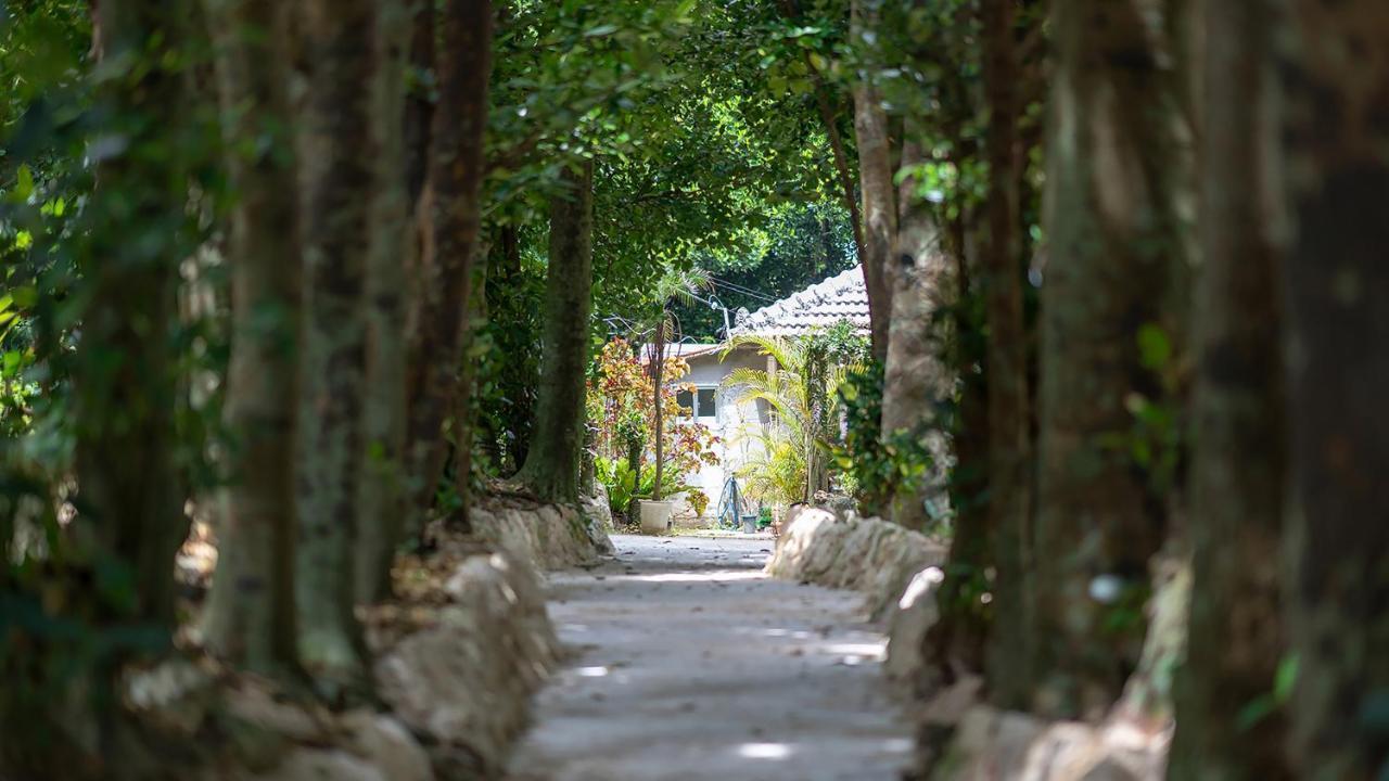 la ohana～瀬底島～（2022年OPEN） 沖繩 外观 照片